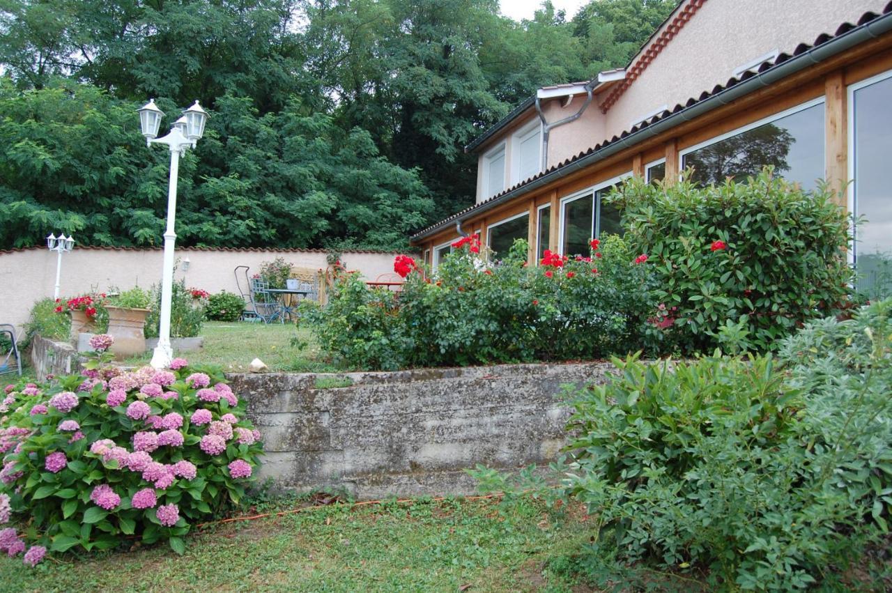 Villa Panoramique Saint-Clair-du-Rhone Ngoại thất bức ảnh